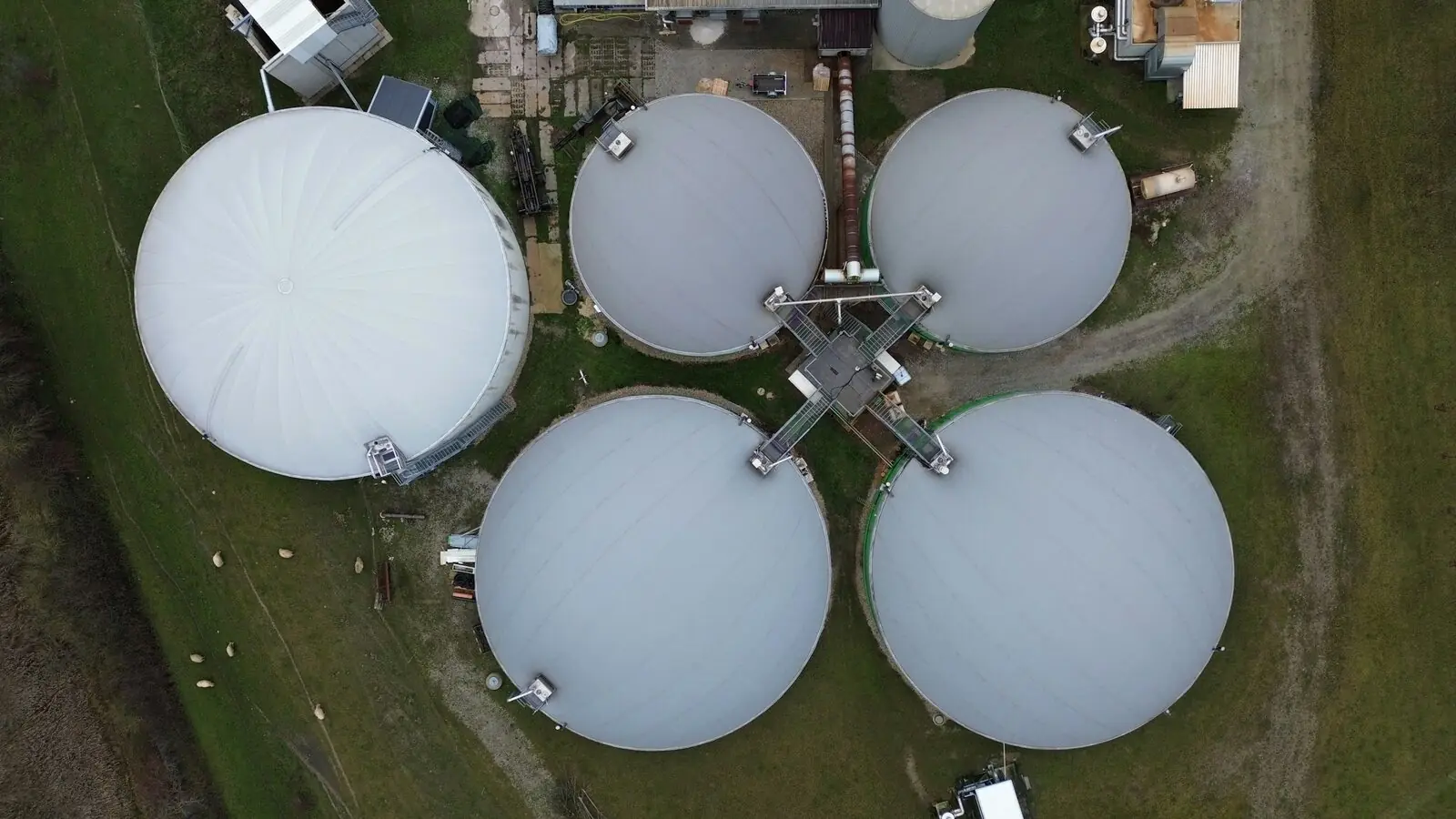 Biodigestores de Simeprode, Nuevo León